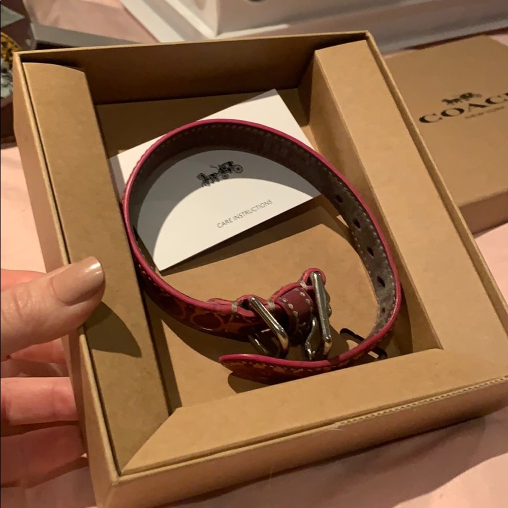 Small Pink and Orange Coach Dog Collar